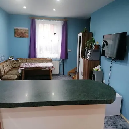 Rodinny Puldomek S Vybavenim A Bazenem Nyaraló *